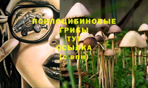 молекула духа Ростов