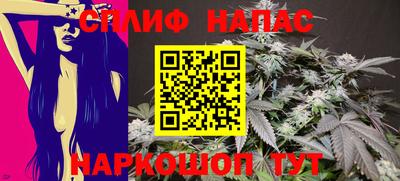 МДПВ Тула