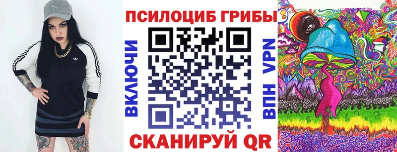 Галлюциногенные грибы Psilocybine cubensis  Истра 