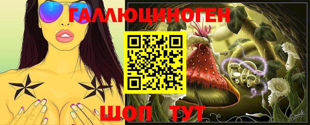 Галлюциногенные грибы прущие грибы  Вход с VPN  Истра 