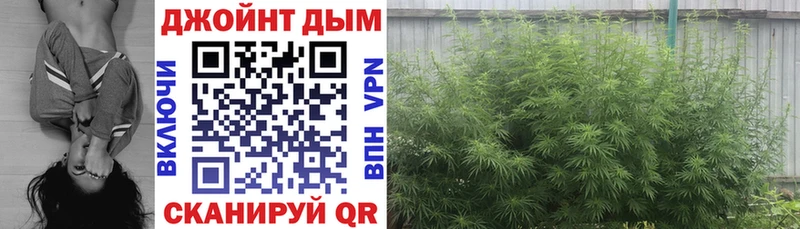 Бошки марихуана гибрид  Истра 
